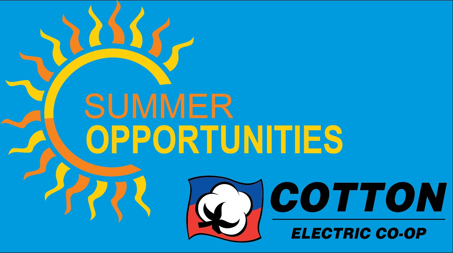 Summer opportunities